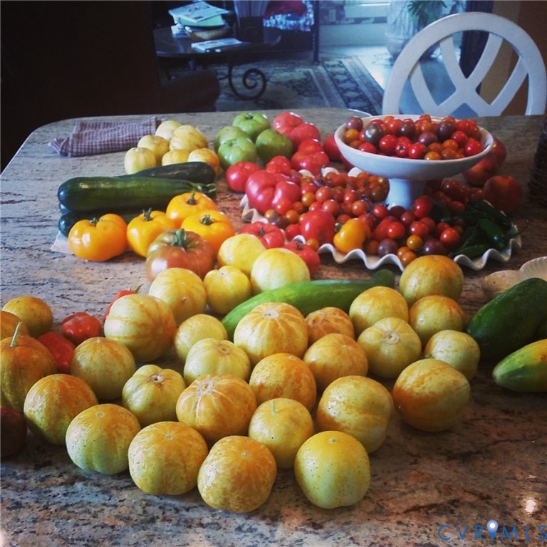 516 Mt Hermon Road Midlothian, VA 23112 - Photo 38 of 50 a store room filled with lots of fruit and vegetables