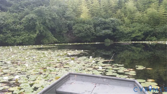 $1,700,000 | 516 Mt Hermon Road, Midlothian, VA 23112