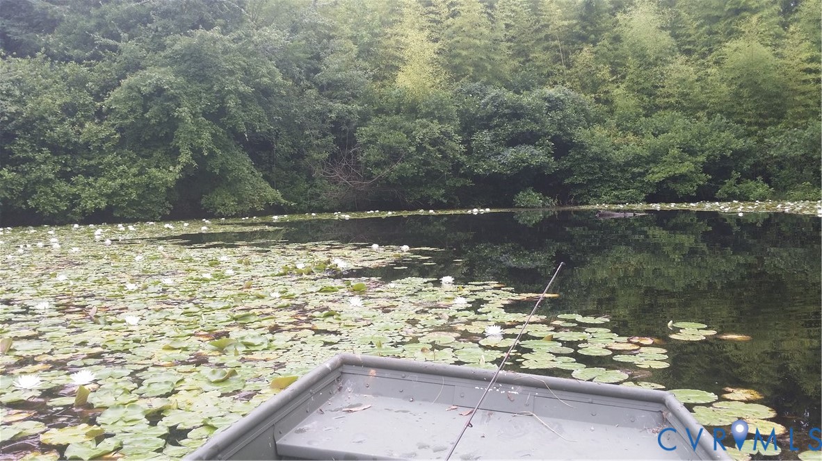 516 Mt Hermon Road Midlothian, VA 23112 - Photo 42 of 50 a view of a lake view
