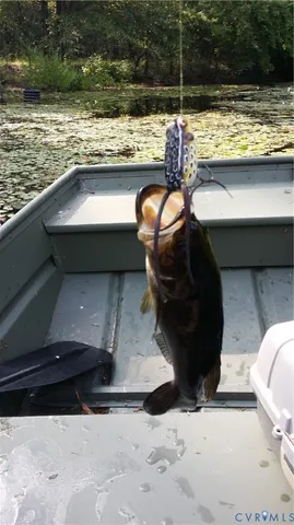 $1,700,000 | 516 Mt Hermon Road, Midlothian, VA 23112