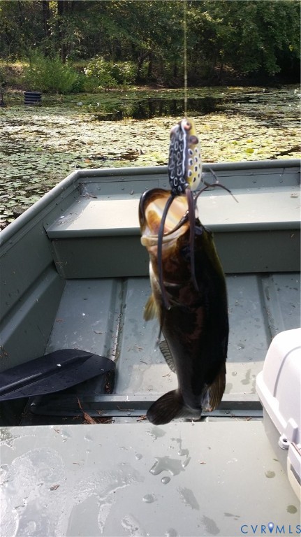516 Mt Hermon Road Midlothian, VA 23112 - Photo 43 of 50 a view of swimming pool from a lake