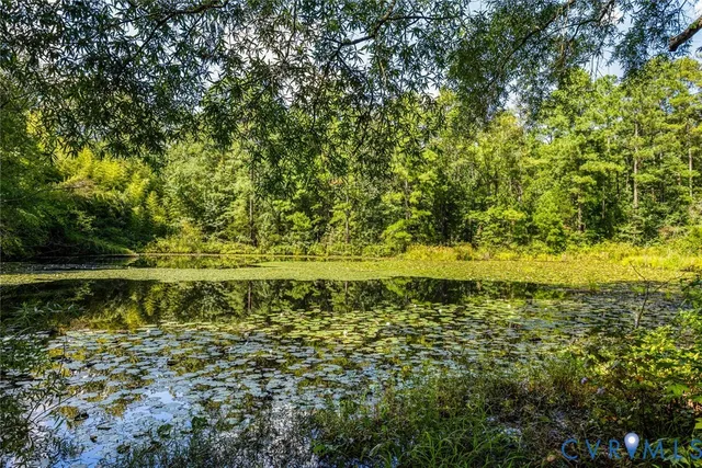 $1,700,000 | 516 Mt Hermon Road, Midlothian, VA 23112