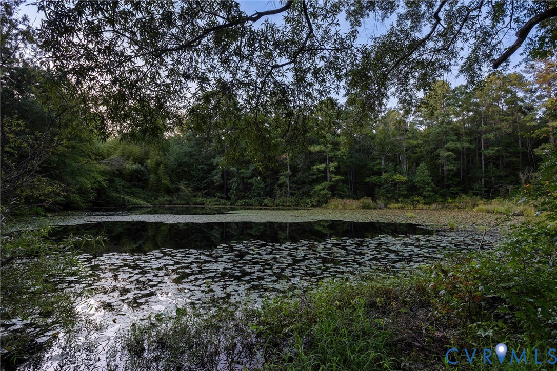 516 Mt Hermon Road Midlothian, VA 23112 - Photo 45 of 50