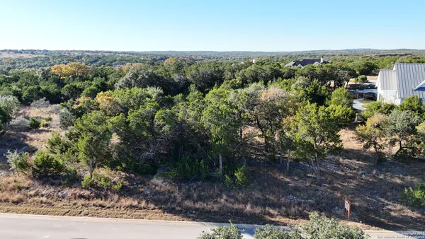 a view of a forest with a yard