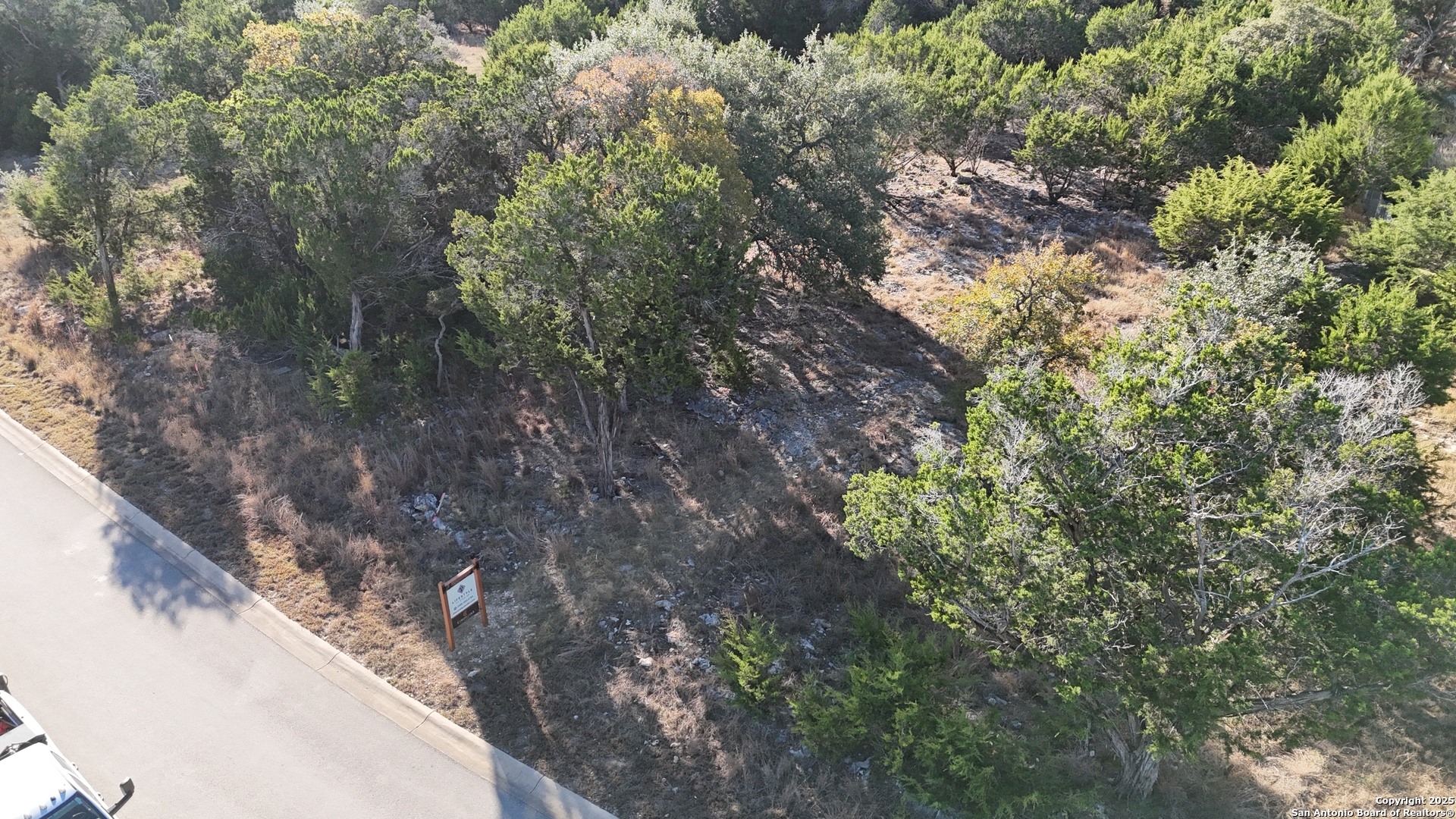 69 Ledgestone Place Boerne, TX 78006 - Photo 7 of 8 a view of a yard with a tree