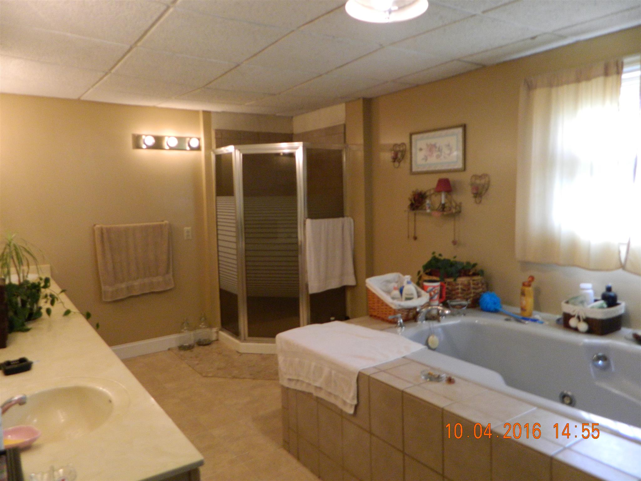 1706 Neptune Road Ashland City, TN 37015 - Photo 12 of 17 Master Bathroom