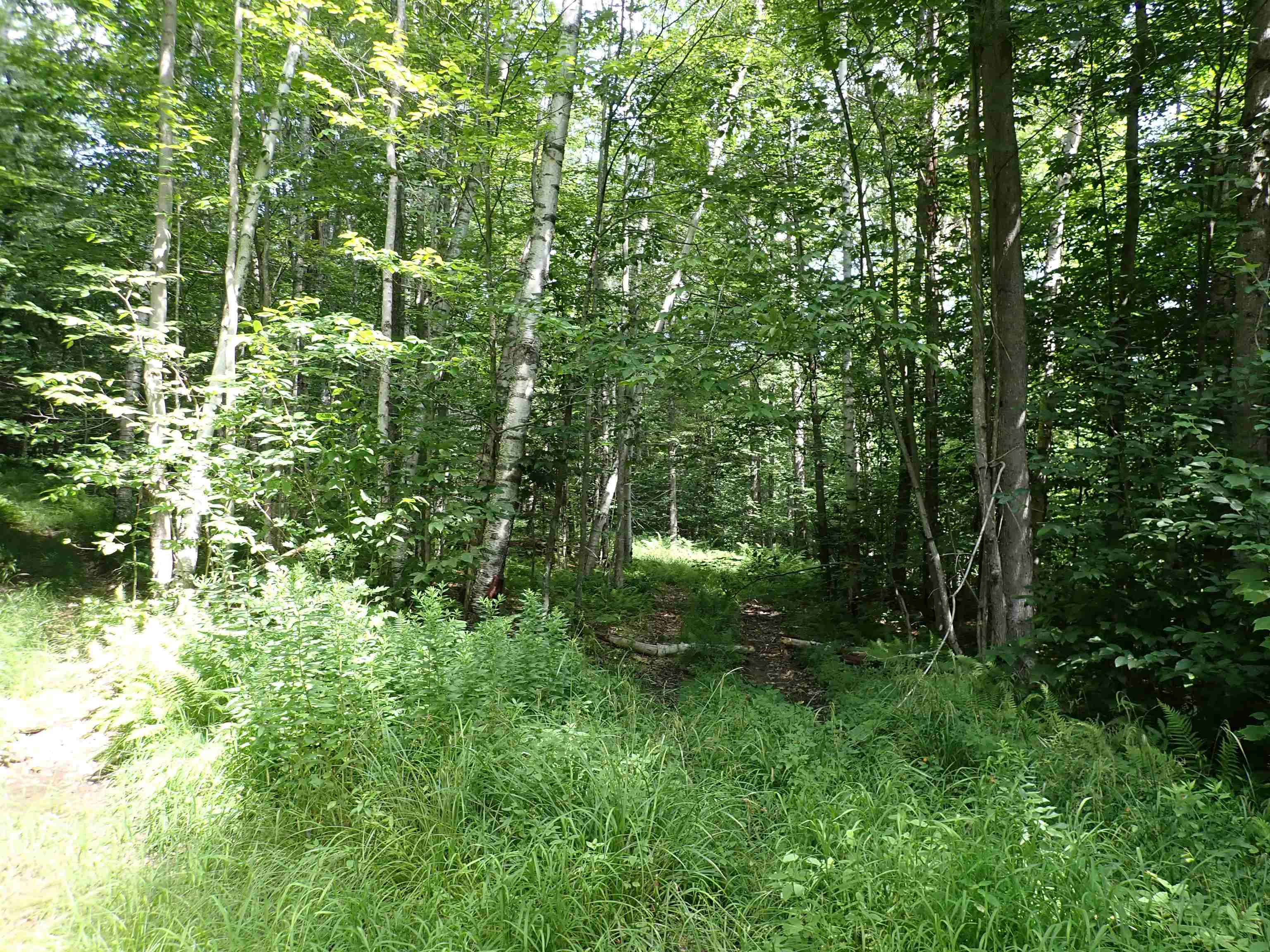 0 Schoolhouse Road Jamaica, VT 05343 - Photo 3 of 20 Gallery Image 3