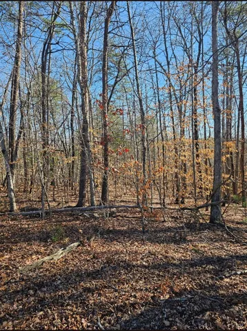 $25,000 | 0 Red Oak Road, Martinsville, VA 24112