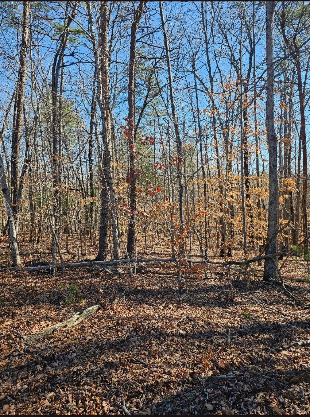 0 Red Oak Road Martinsville, VA 24112 - Photo 2 of 3