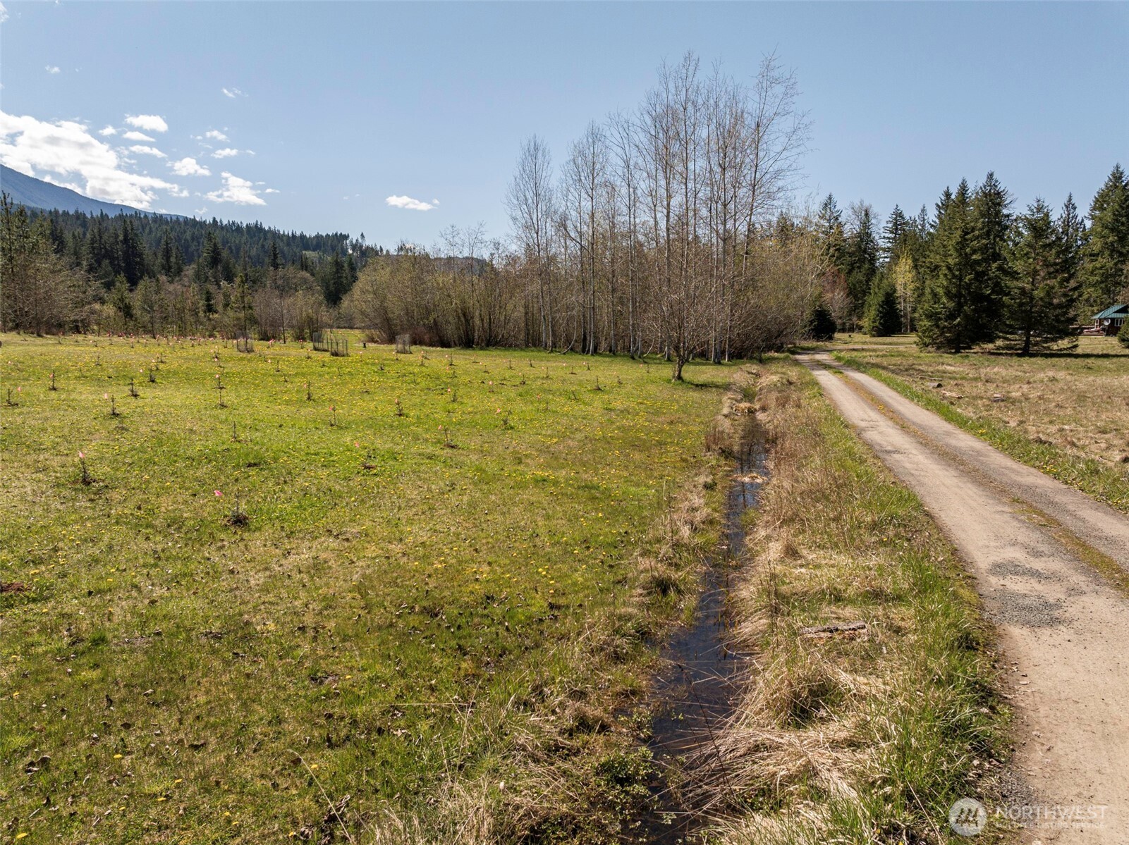 4890 Lost Mountain Road Sequim, WA 98382 - Photo 18 of 40