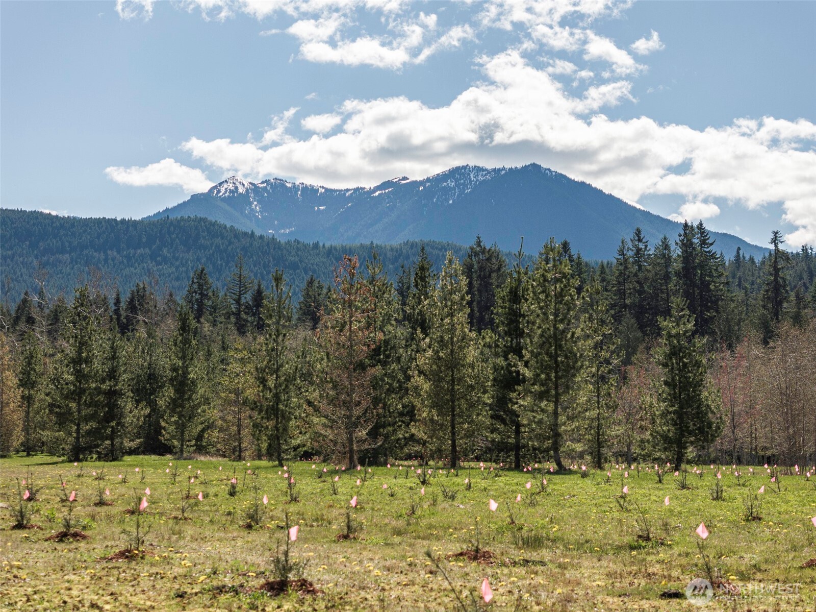 4890 Lost Mountain Road Sequim, WA 98382 - Photo 21 of 40