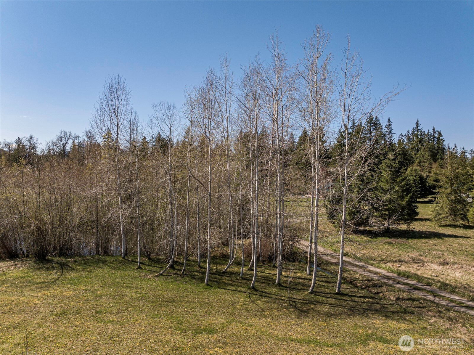4890 Lost Mountain Road Sequim, WA 98382 - Photo 22 of 40