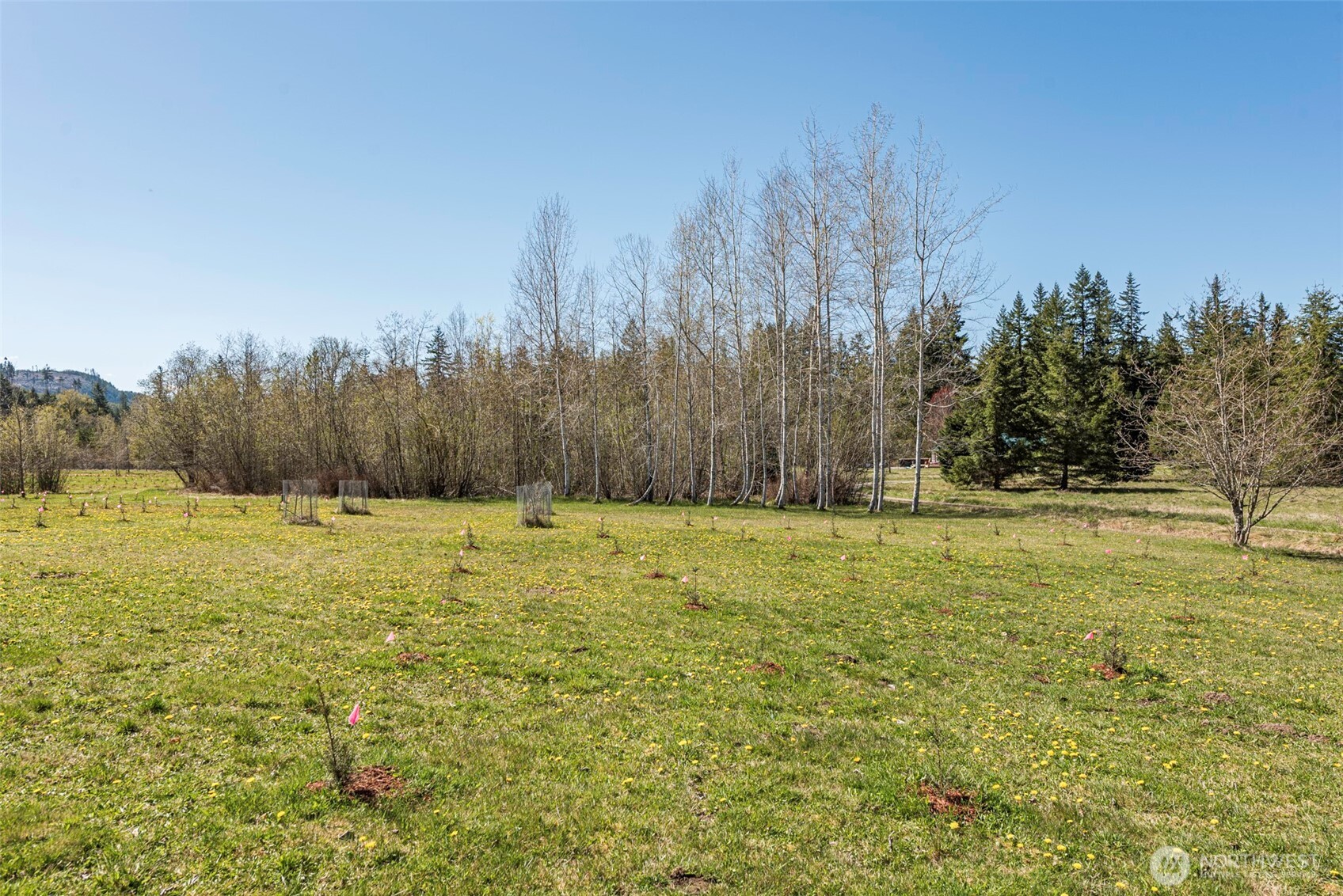 4890 Lost Mountain Road Sequim, WA 98382 - Photo 23 of 40