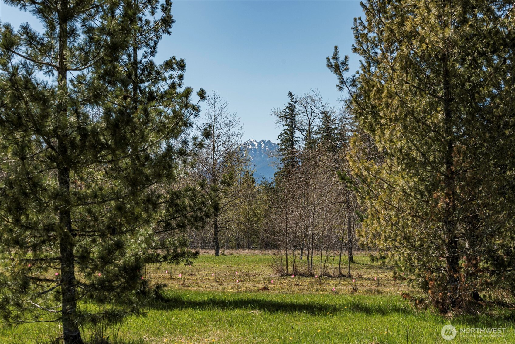 4890 Lost Mountain Road Sequim, WA 98382 - Photo 33 of 40