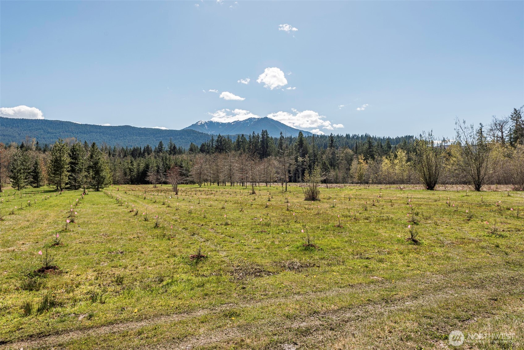 4890 Lost Mountain Road Sequim, WA 98382 - Photo 37 of 40