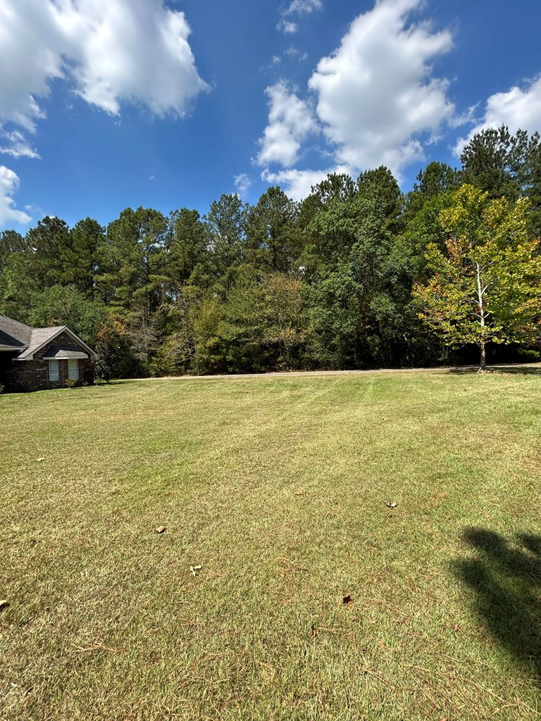 651 Kokomo Road Kokomo, MS 39643 - Photo 12 of 50 Photo 12