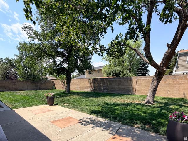 11530 Jordan Point Drive Sandy, UT 84092 - Photo 34 of 34 Expansive backyard featuring a large concrete patio with decorative square inlays, a manicured lawn, and mature trees providing natural shade