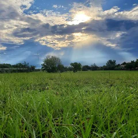 a view of a big yard with a large trees