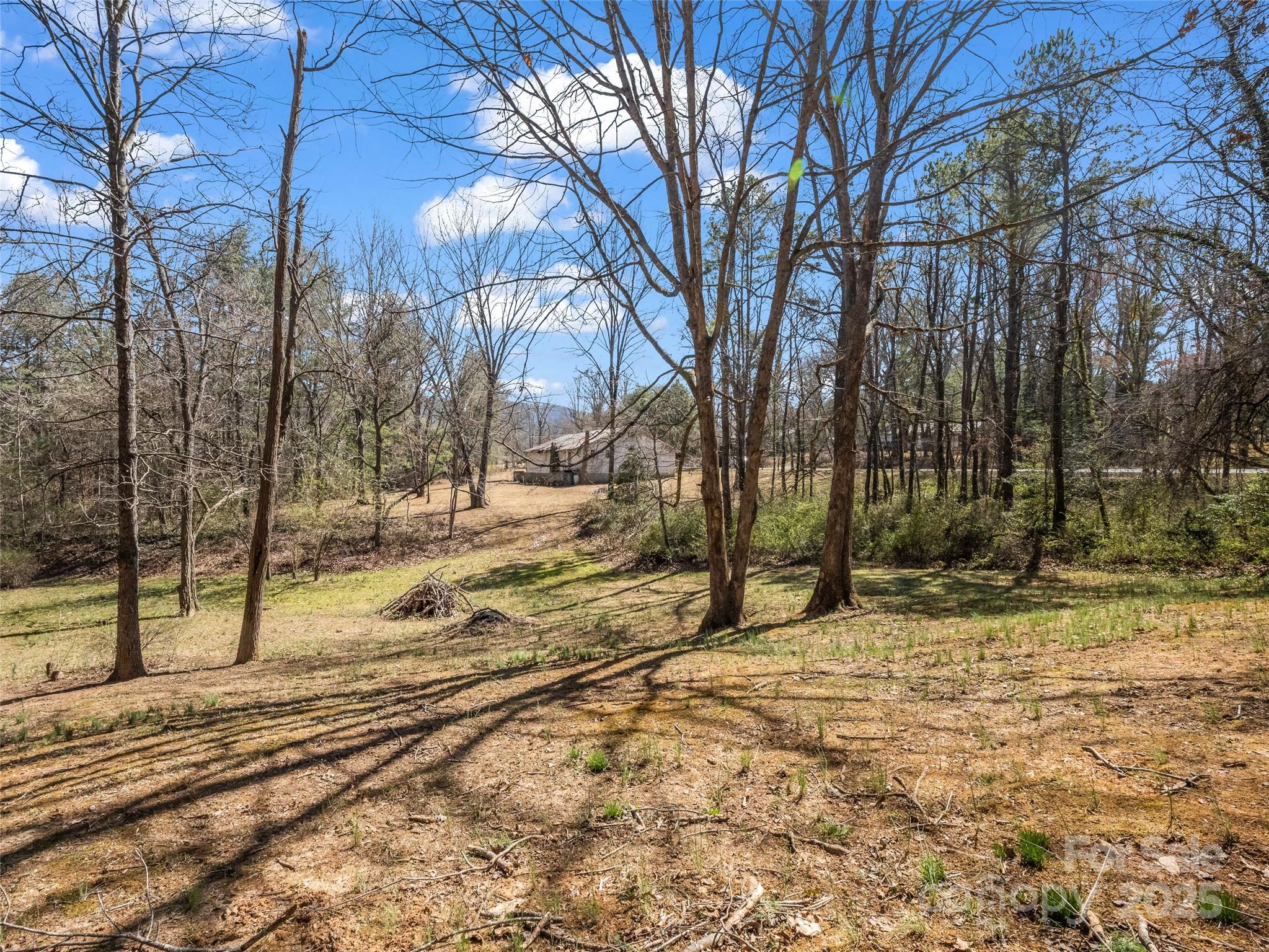 a view of a yard with trees