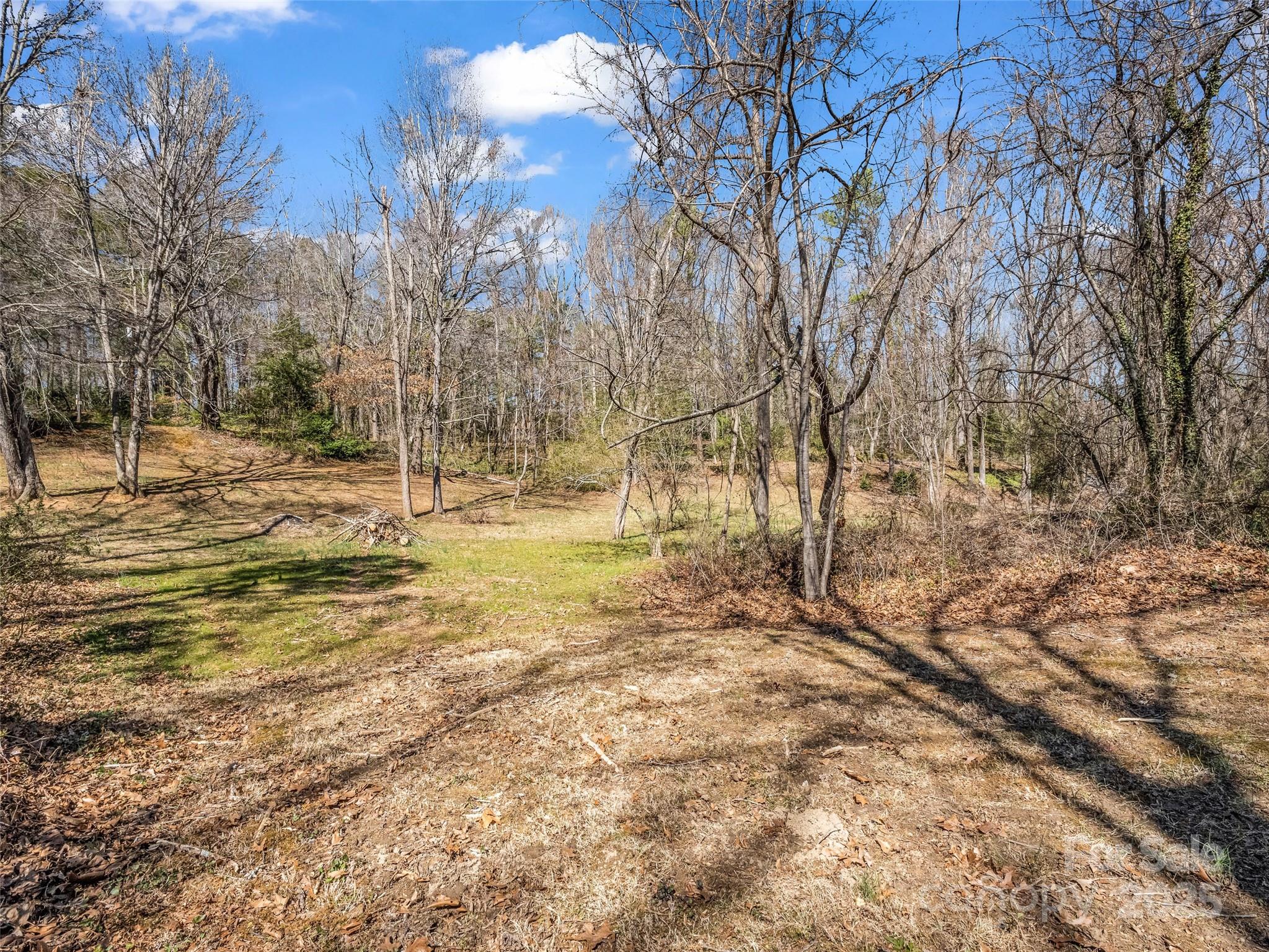 156 Warren Wilson Road Swannanoa, NC 28778 - Photo 11 of 38 a view of a yard with trees