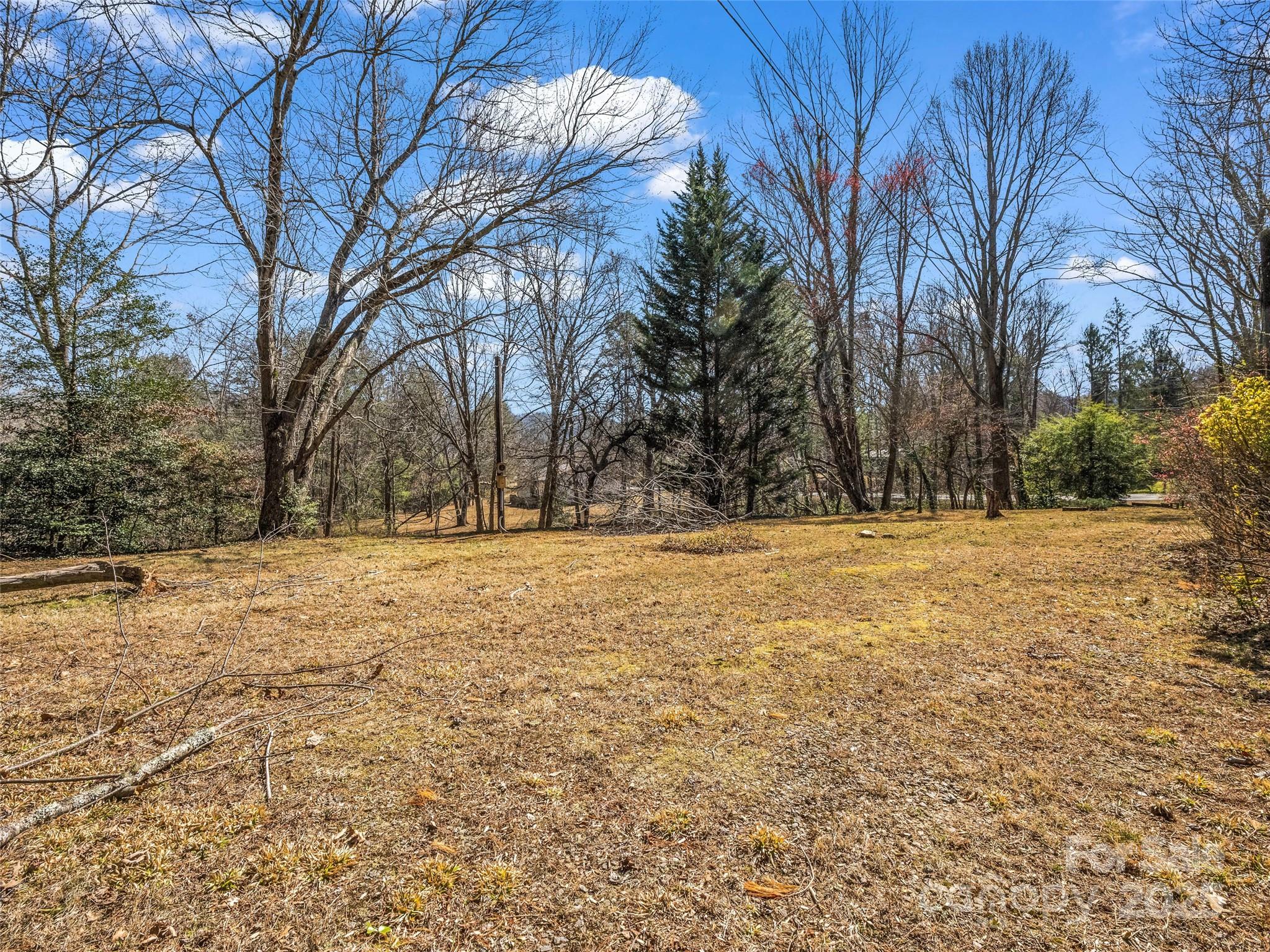 156 Warren Wilson Road Swannanoa, NC 28778 - Photo 14 of 38 a view of yard covered with snow