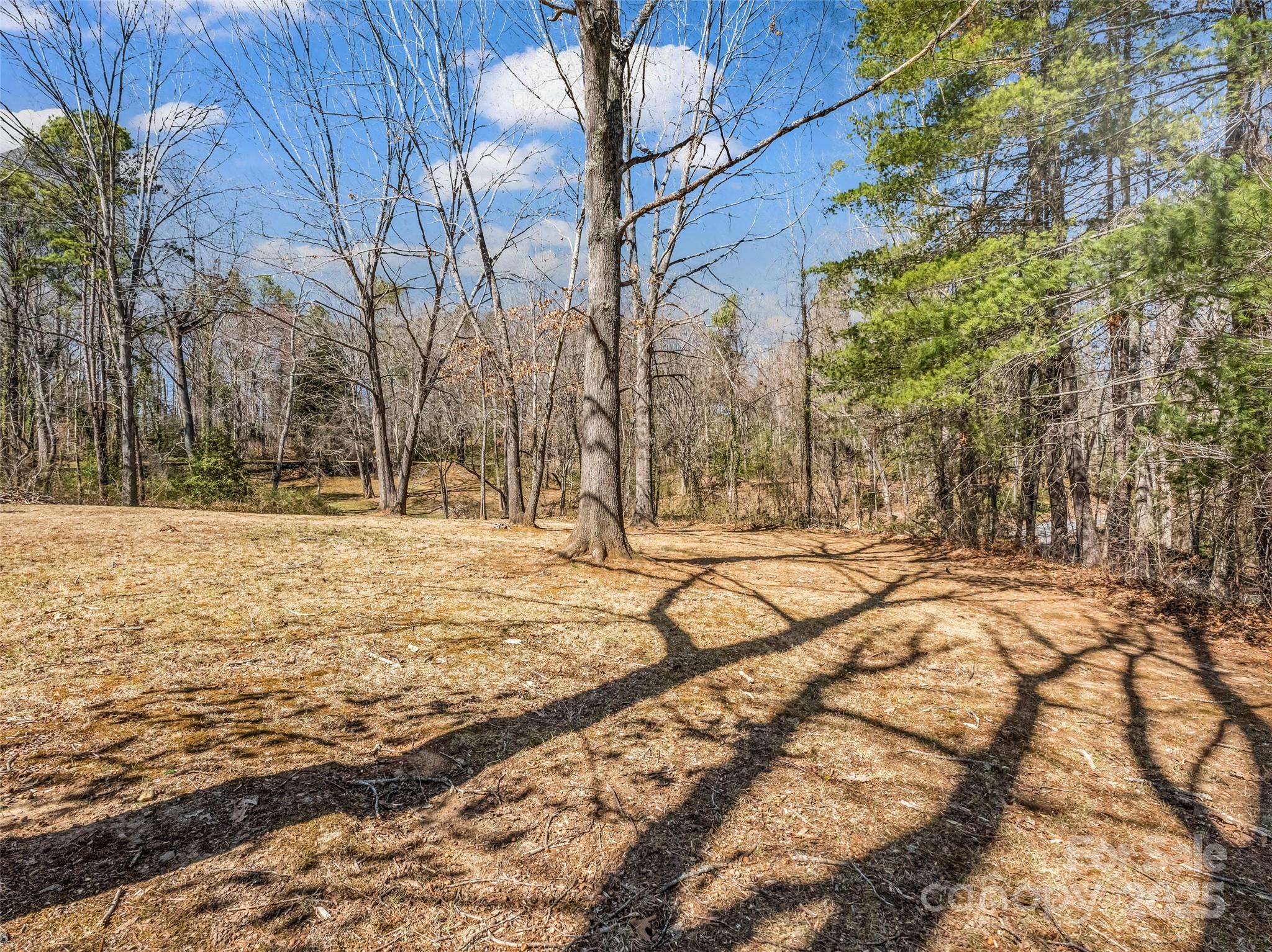 156 Warren Wilson Road Swannanoa, NC 28778 - Photo 2 of 38 a view of snow on the road