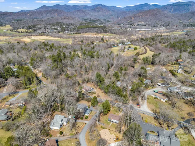 a view of a lush green hillside and houses