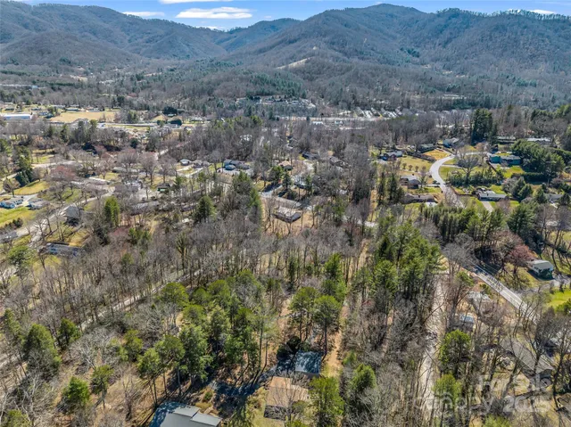 an aerial view of residential house and green space