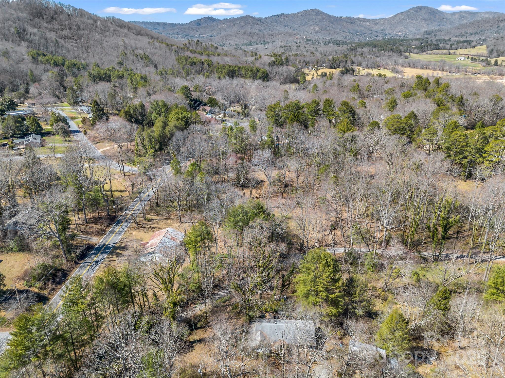 156 Warren Wilson Road Swannanoa, NC 28778 - Photo 35 of 38 a view of a forest with trees and houses