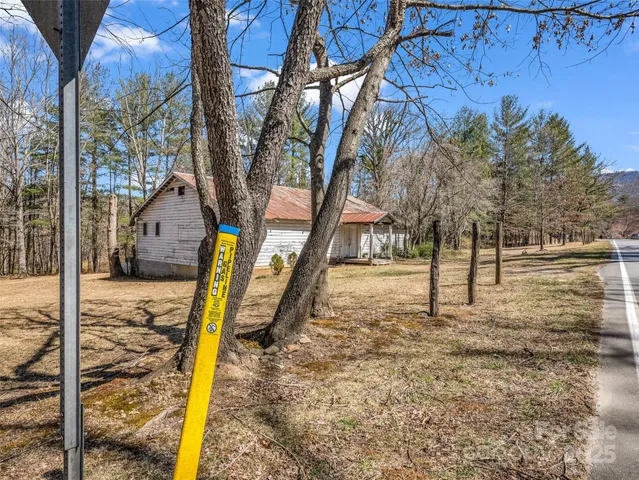 a backyard of a house with a large trees