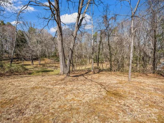 a view of a yard with trees