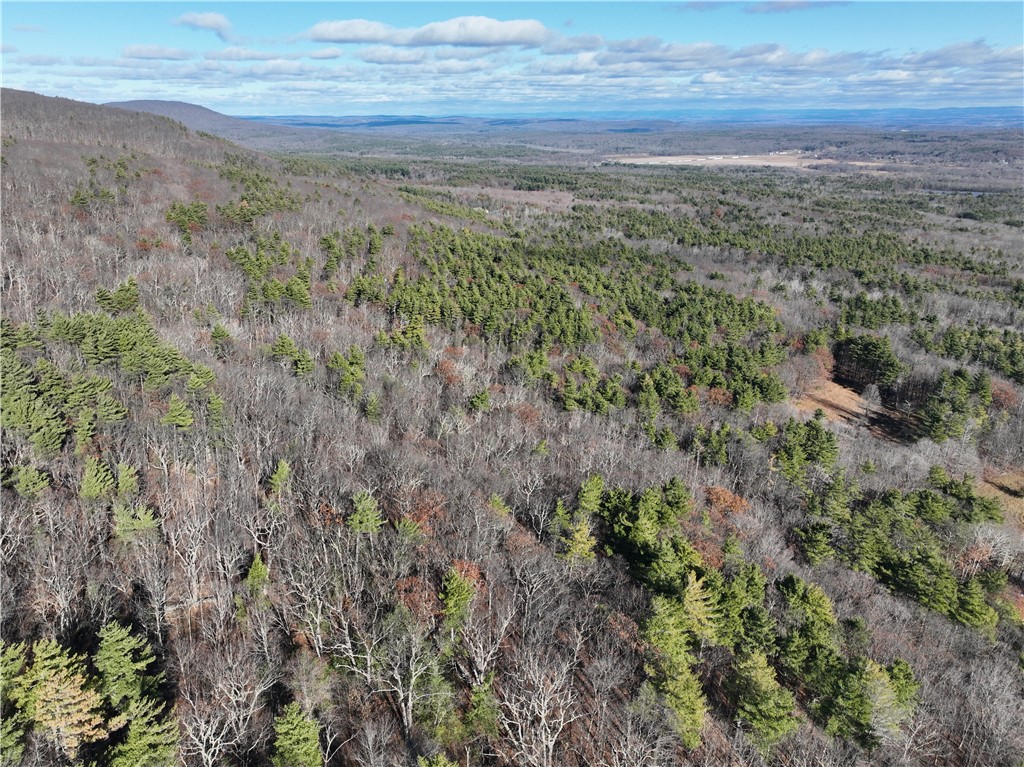 331 Ledgemoor Road Catskill, NY 12463 - Photo 3 of 34