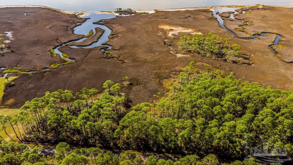 0 Pearson Road Milton, FL 32583 - Photo 12 of 14