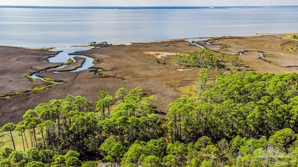 0 Pearson Road Milton, FL 32583 - Photo 3 of 14