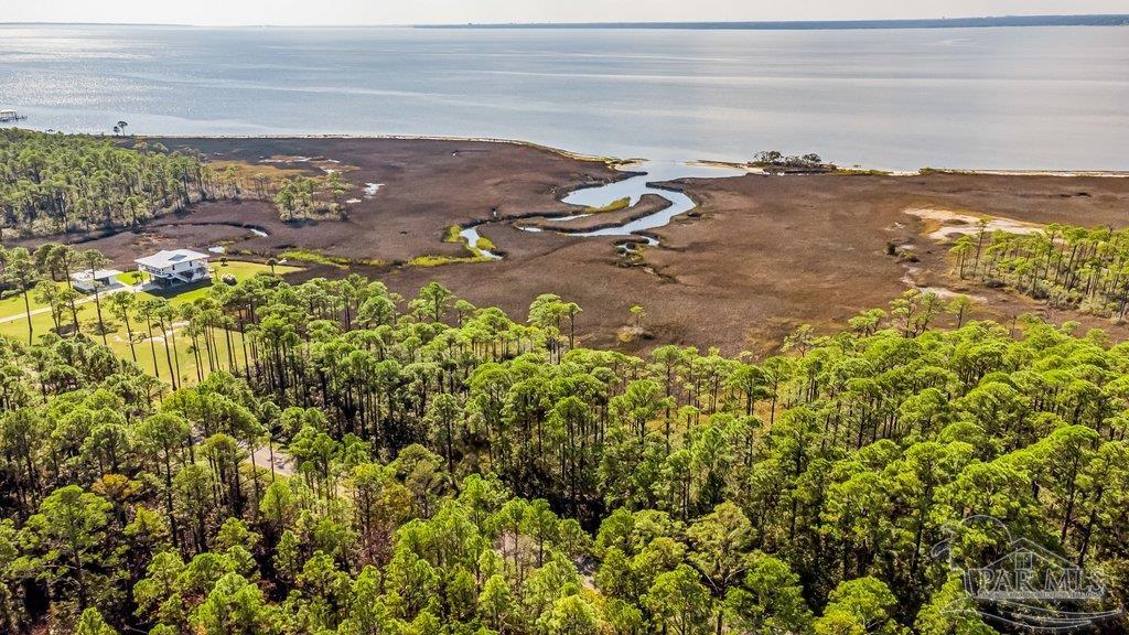 0 Pearson Road Milton, FL 32583 - Photo 4 of 14