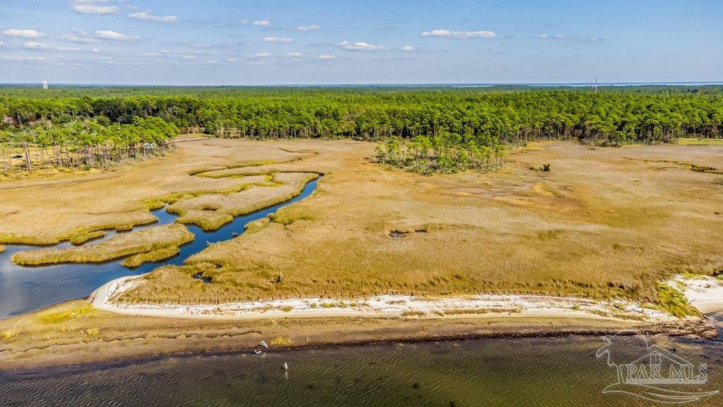 0 Pearson Road Milton, FL 32583 - Photo 6 of 14