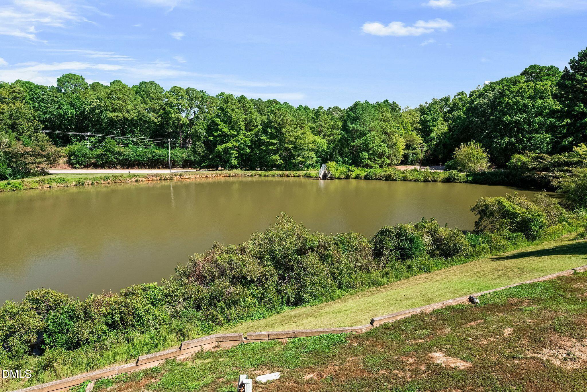 3904 Summerwood Court Raleigh, NC 27613 - Photo 47 of 58 DSC_3515