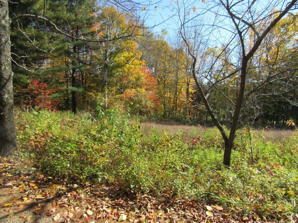 2433 Level Hill Road Palermo, ME 04354 - Photo 4 of 27 Garden Area Fall