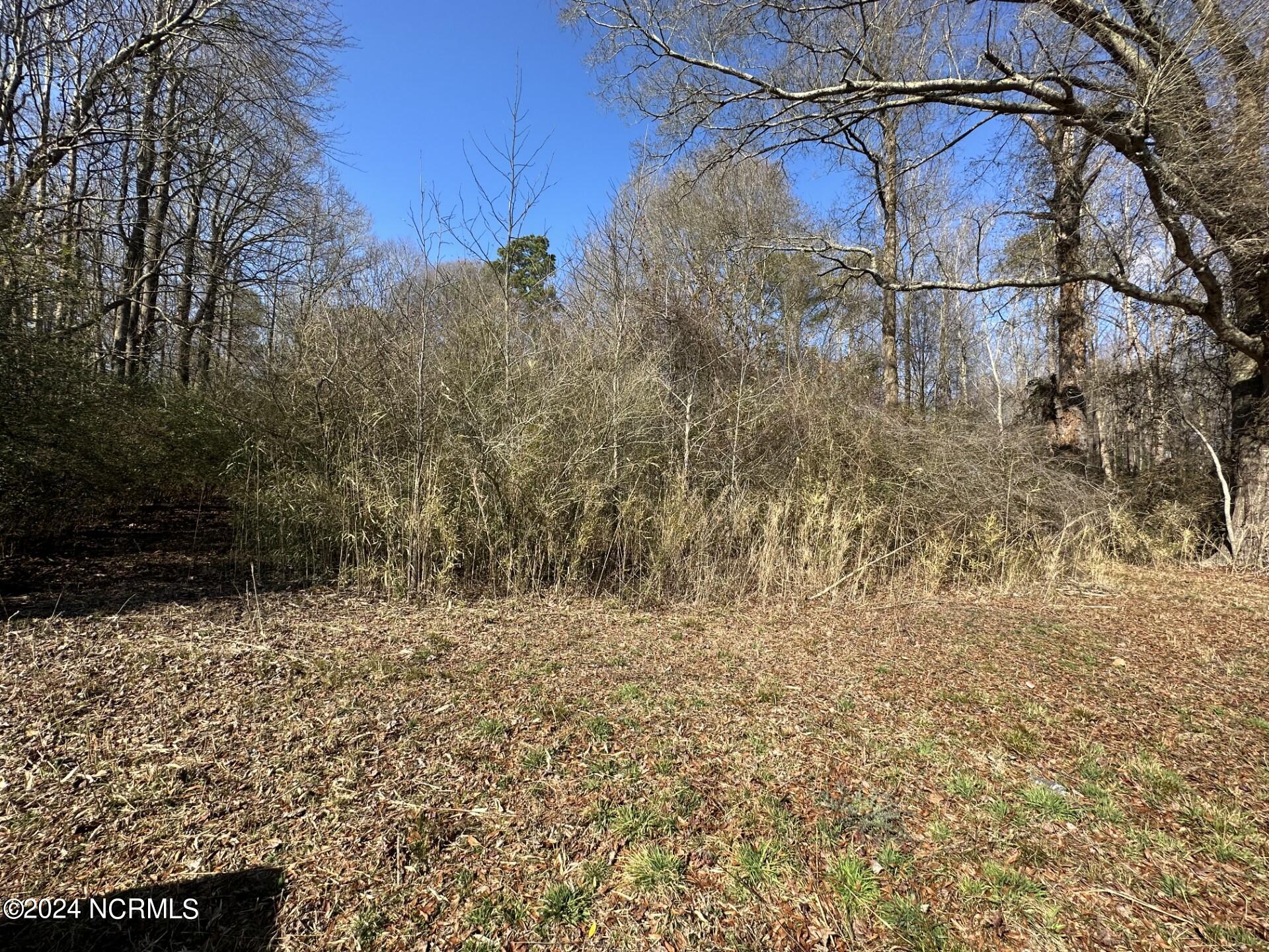 1159 Perrys Bridge Road Belvidere, NC 27919 - Photo 1 of 2 Main