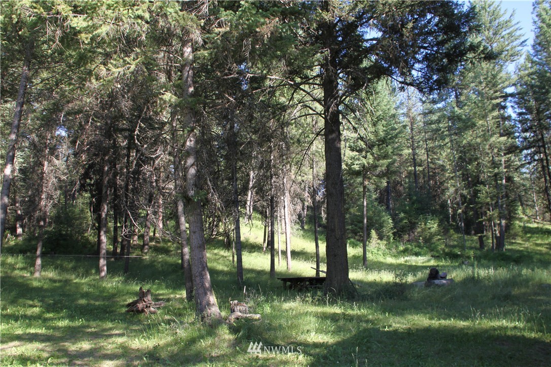 275 Lambert Creek Road Republic, WA 99166 - Photo 15 of 25 Gallery Image 15