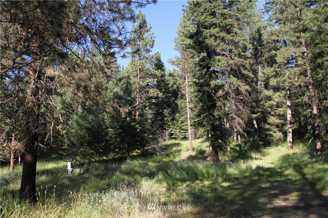 275 Lambert Creek Road Republic, WA 99166 - Photo 16 of 25 Gallery Image 16