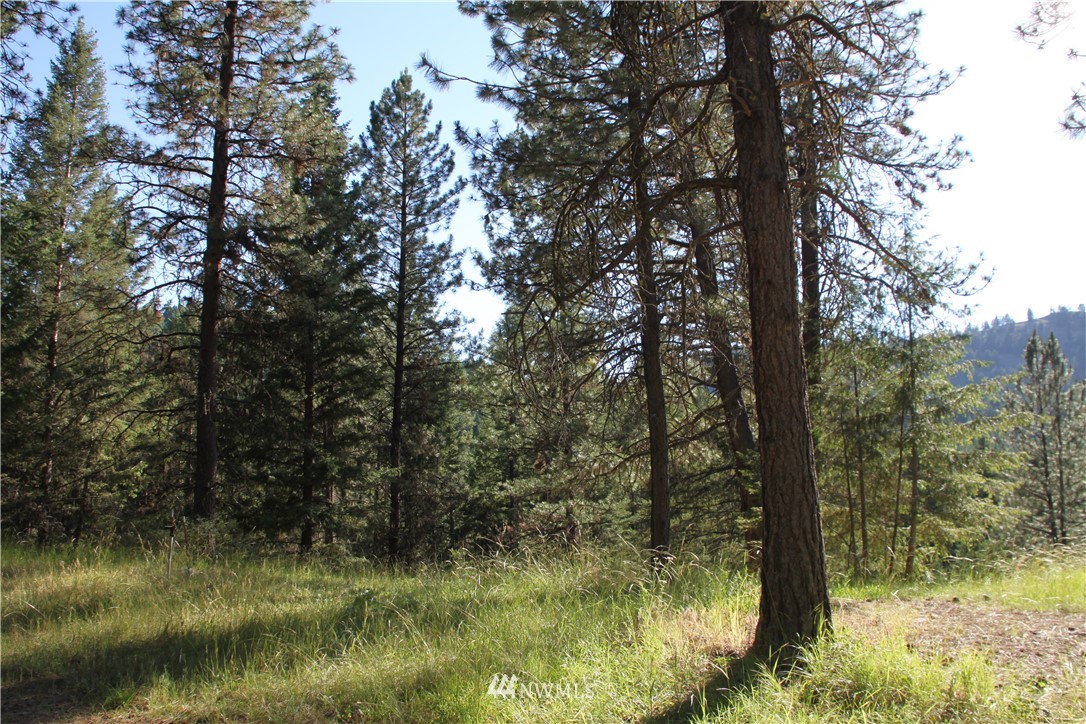 275 Lambert Creek Road Republic, WA 99166 - Photo 20 of 25 Gallery Image 20