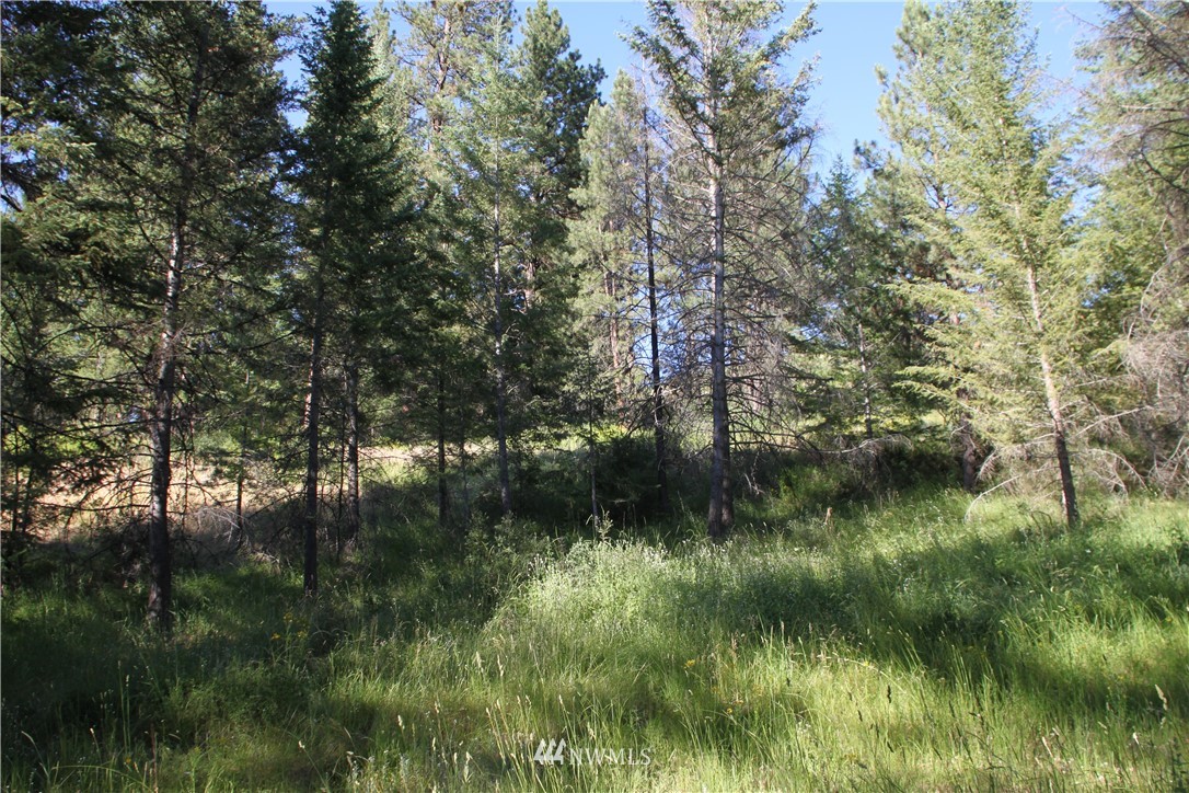 275 Lambert Creek Road Republic, WA 99166 - Photo 21 of 25 Gallery Image 21