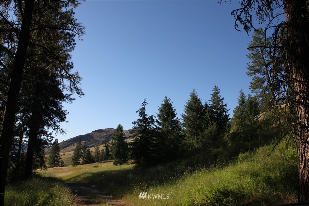 275 Lambert Creek Road Republic, WA 99166 - Photo 23 of 25 Gallery Image 23