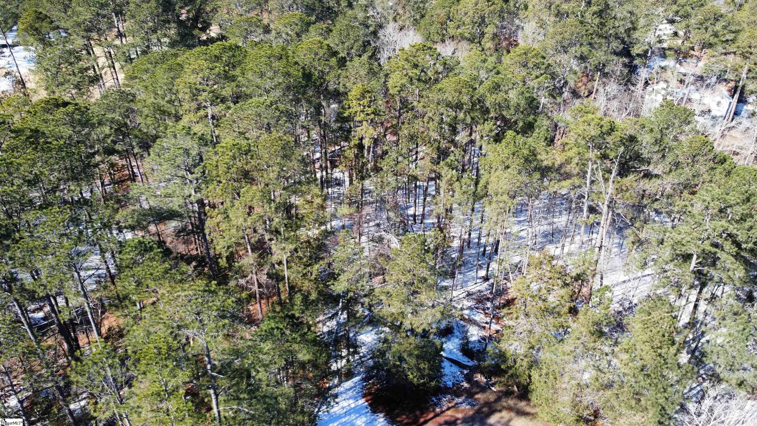 210 Georgian Lane McCormick, SC 29835 - Photo 3 of 4