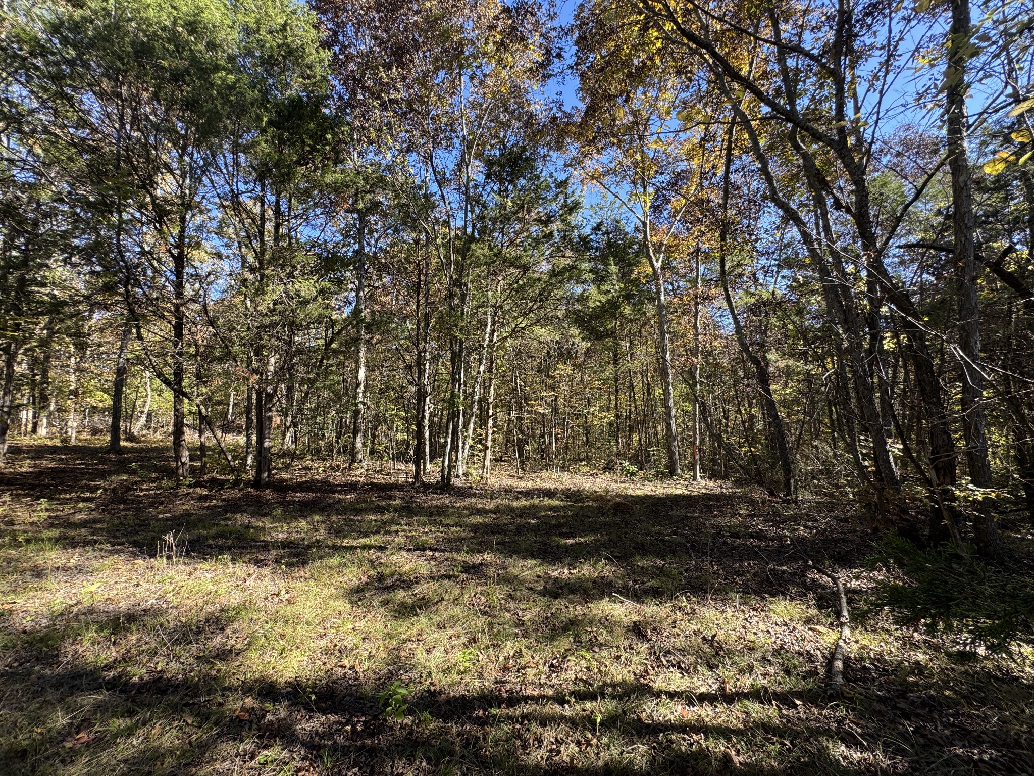 2 Lindsley Road Lebanon, TN 37090 - Photo 16 of 16 Gallery Image 16