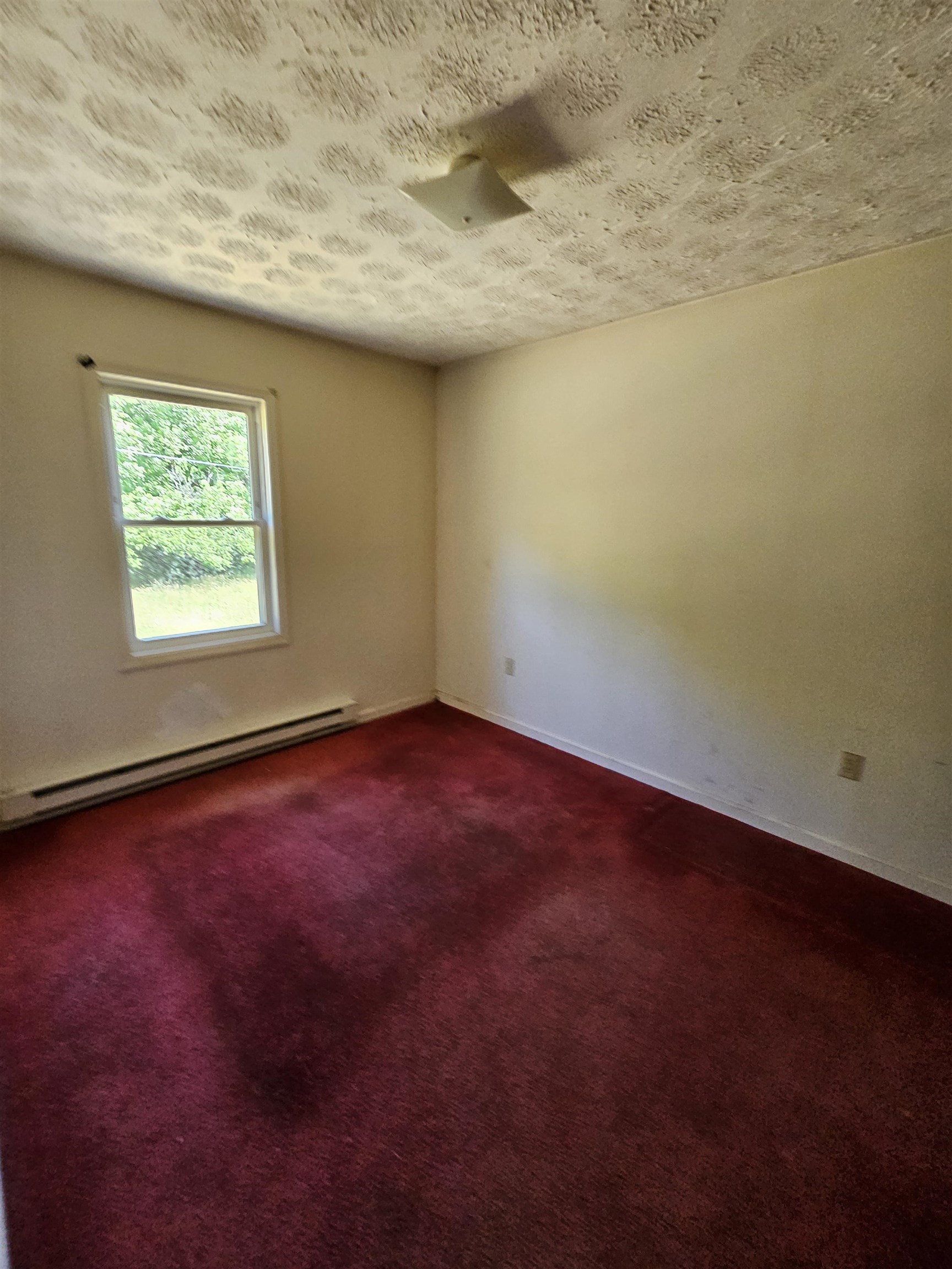 2105 Coles Mountain Road Covington, VA 24426 - Photo 25 of 66 Bedroom
