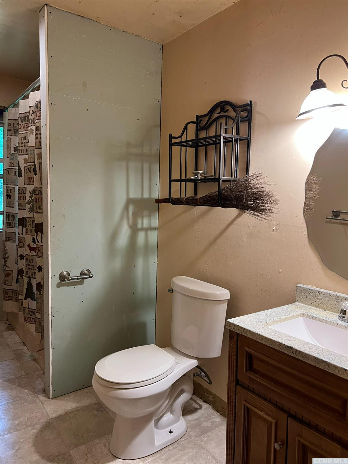 127 Barger Road Medusa, NY 12120 - Photo 12 of 21 Photo 12