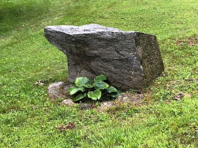 1516 Burkettville Road Appleton, ME 04862 - Photo 23 of 24 Creative Gardening