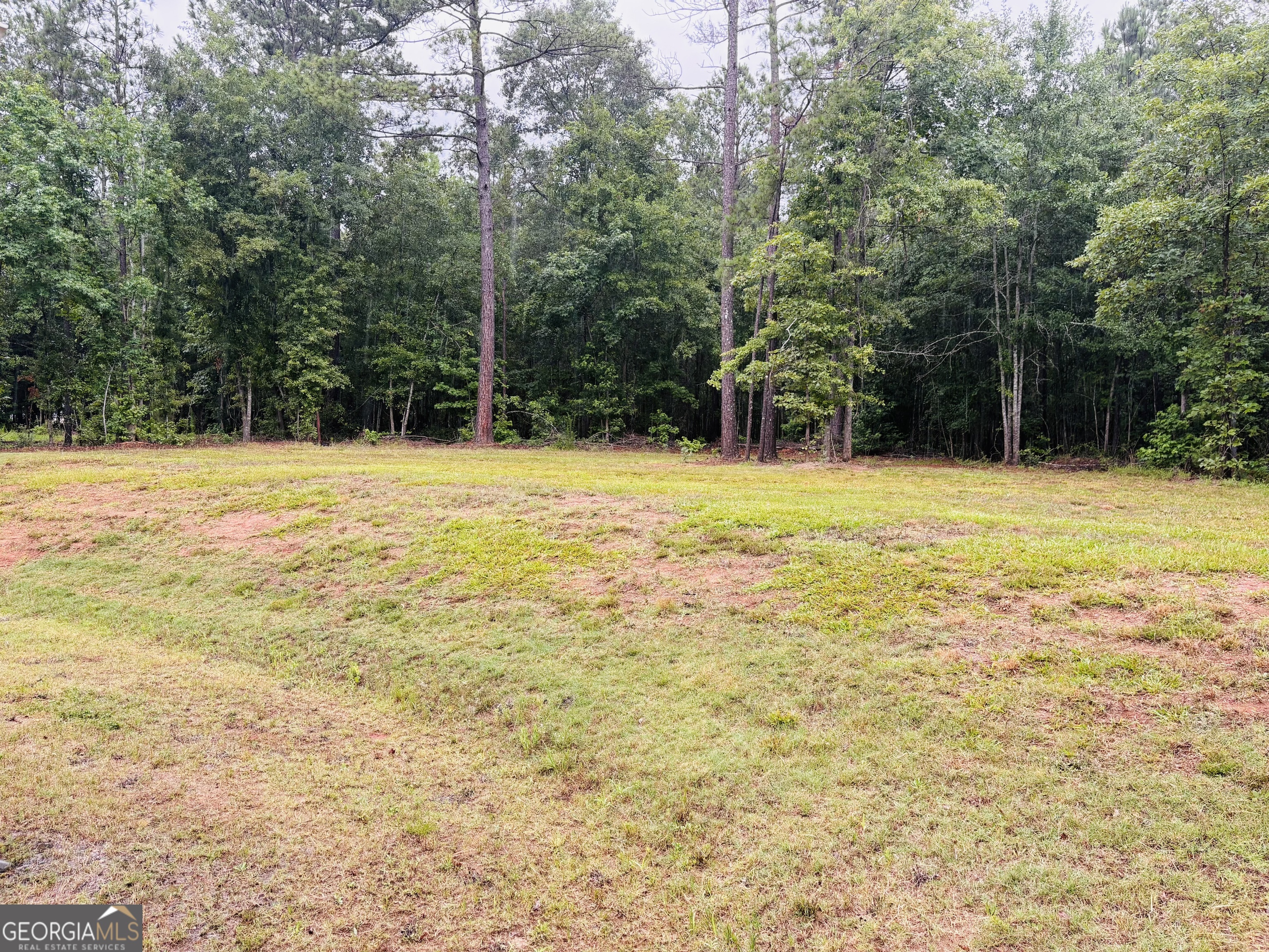 196 Chapman Road Macon, GA 31211 - Photo 6 of 6